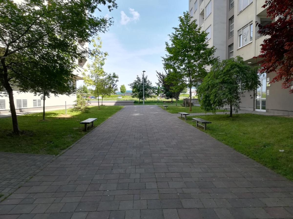 Apartments Dora 萨格勒布 外观 照片